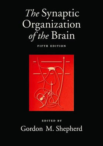 Cover image for The Synaptic Organization of the Brain