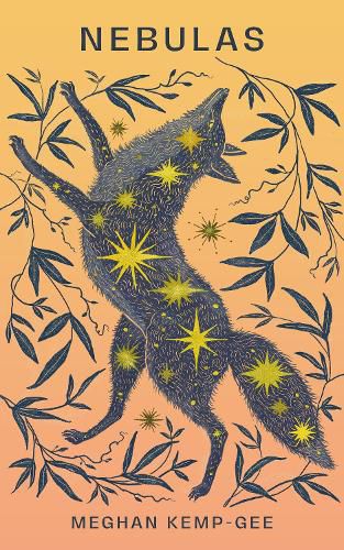 Cover image for Nebulas