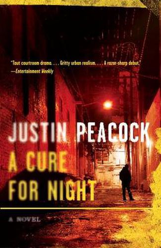 Cover image for A Cure for Night: A Novel