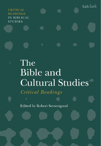 Cover image for The Bible and Cultural Studies: Critical Readings