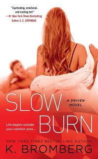 Cover image for Slow Burn