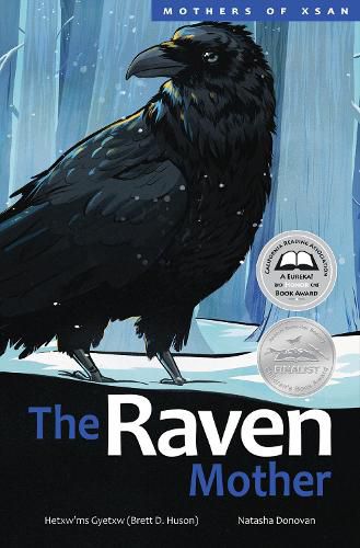 Cover image for The Raven Mother: Volume 6