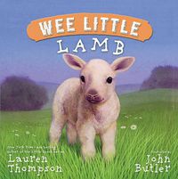 Cover image for Wee Little Lamb