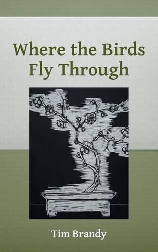 Cover image for Where the Birds Fly Through