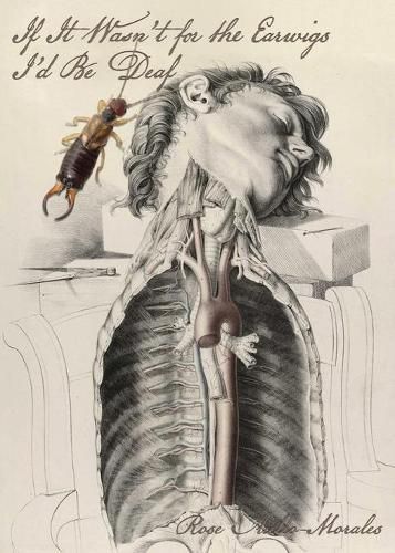 Cover image for If It Wasn't for the Earwigs I'd Be Deaf