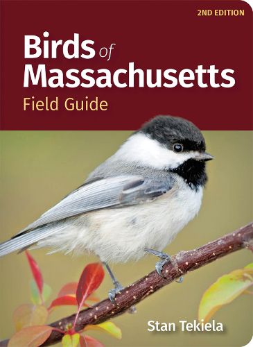 Cover image for Birds of Massachusetts Field Guide