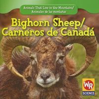 Cover image for Bighorn Sheep / Carnero de Canada