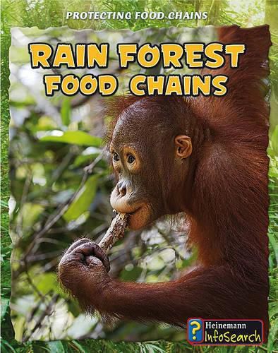 Cover image for Rain Forest Food Chains (Protecting Food Chains)