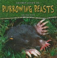 Cover image for Secret Lives of Burrowing Beasts