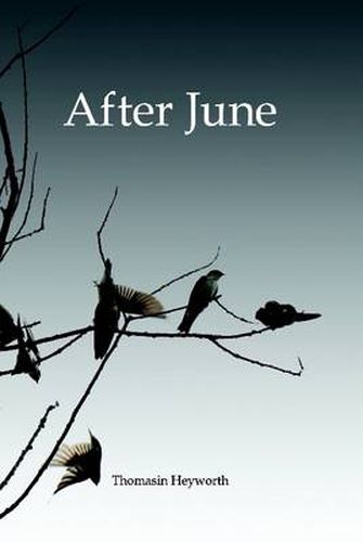 Cover image for After June