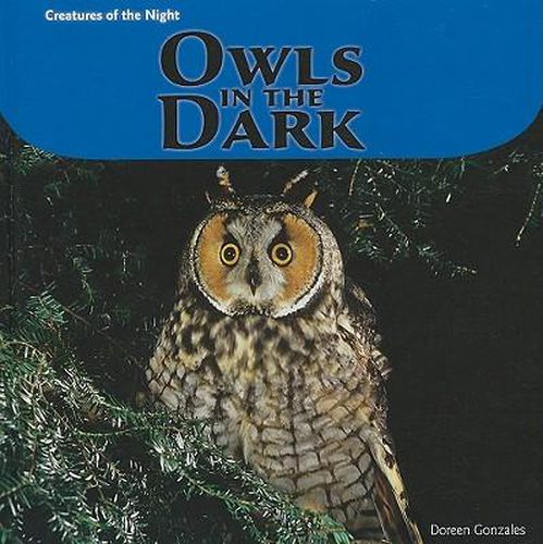 Cover image for Owls in the Dark