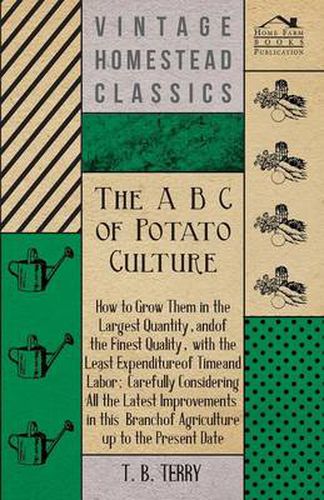 Cover image for The B C Of Potato Culture