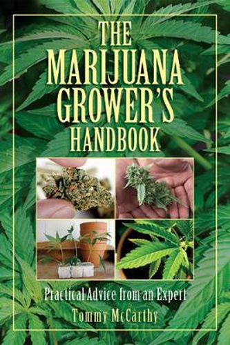 Cover image for The Marijuana Grower's Handbook: Practical Advice from an Expert