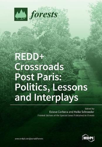 Cover image for REDD+ Crossroads Post Paris: Politics, Lessons and Interplays