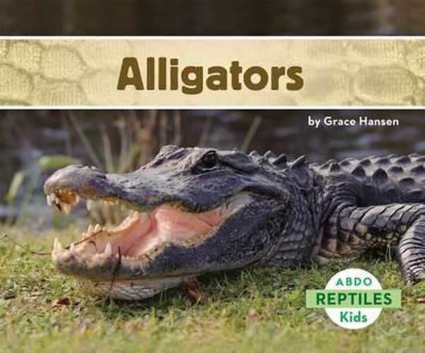Cover image for Alligators