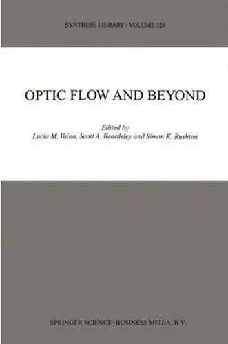 Optic Flow and Beyond