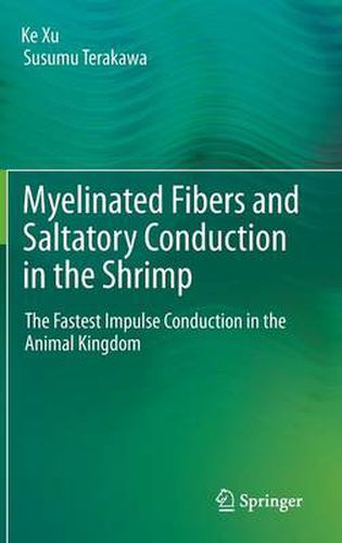 Cover image for Myelinated Fibers and Saltatory Conduction in the Shrimp: The Fastest Impulse Conduction in the Animal Kingdom