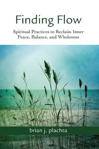 Cover image for Finding Flow: Spiritual Practices to Reclaim Inner Peace, Balance, and Wholeness