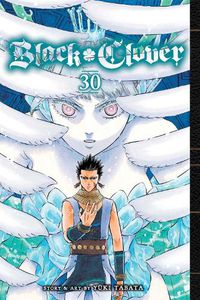 Cover image for Black Clover, Vol. 30
