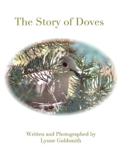 Cover image for The Story of Doves