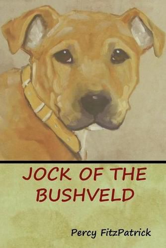 Cover image for Jock of the Bushveld