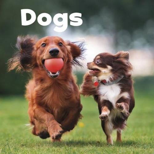 Cover image for Dogs