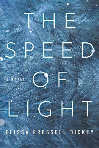 Cover image for The Speed of Light: A Novel