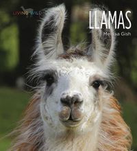 Cover image for Llamas