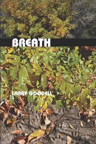 Cover image for Breath: Poems 2000-2002