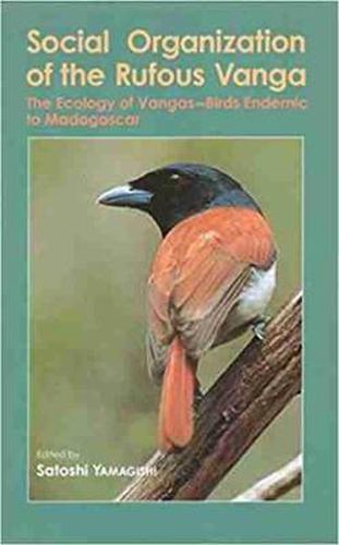 Cover image for Social Organization of the Rufous Vanga: The Ecology of Vangas - Birds Endemic to Madagascar