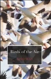 Cover image for Birds of the Air