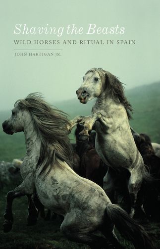 Cover image for Shaving the Beasts: Wild Horses and Ritual in Spain