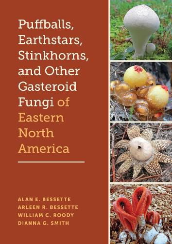 Cover image for Puffballs, Earthstars, Stinkhorns, and Other Gasteroid Fungi of Eastern North America