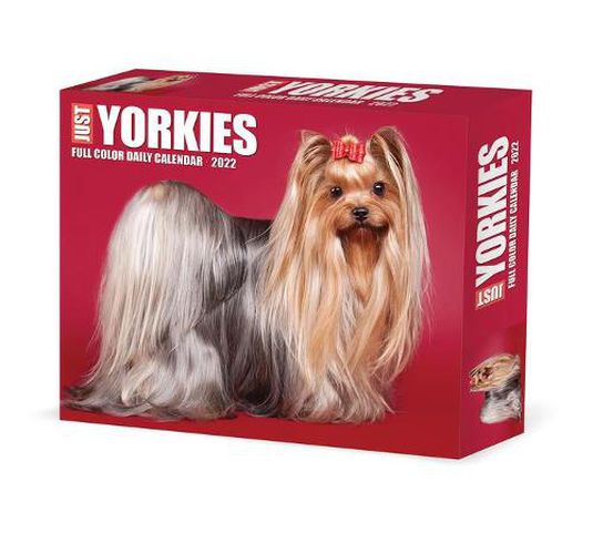 Cover image for Yorkies 2022 Box Calendar - Dog Breed Daily Desktop