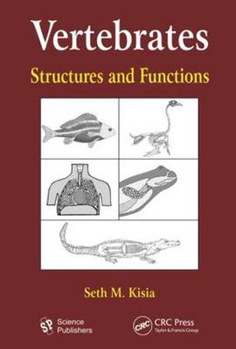 Cover image for Vertebrates: Structures and Functions