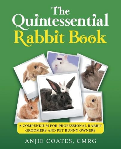 Cover image for The Quintessential Rabbit Book