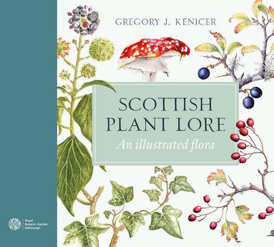 Cover image for Scottish Plant Lore: An Illustrated Flora
