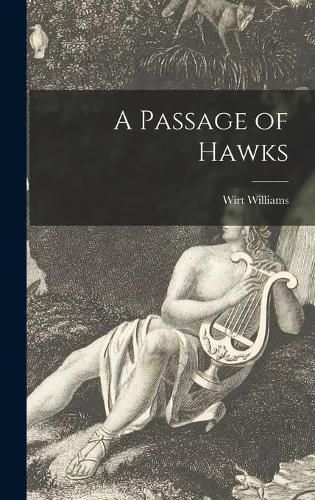 Cover image for A Passage of Hawks