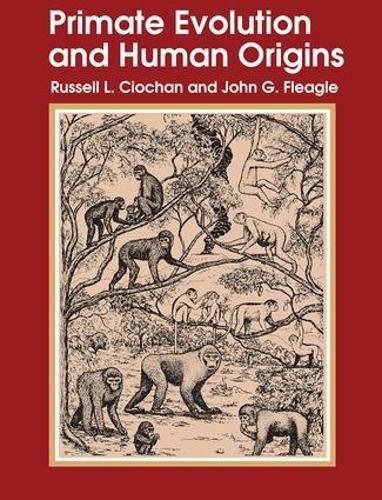 Cover image for Primate Evolution and Human Origins