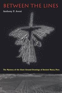 Cover image for Between the Lines: The Mystery of the Giant Ground Drawings of Ancient Nasca, Peru