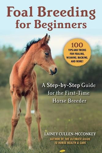 Cover image for Foal Breeding for Beginners: A Step-By-Step Guide for the First-Time Horse Breeder