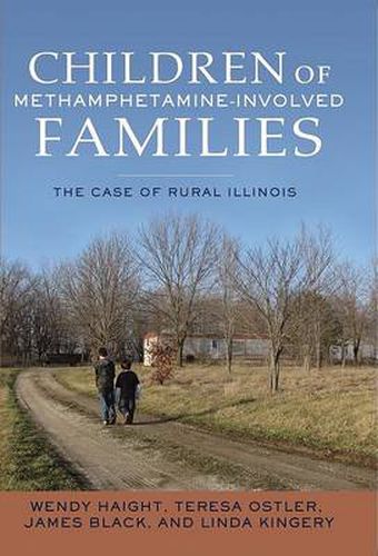 Cover image for Children of Methamphetamine-Involved Families