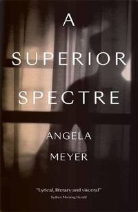 Cover image for A Superior Spectre