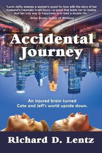 Cover image for Accidental Journey