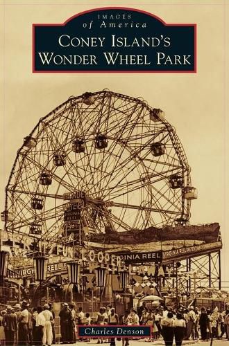 Cover image for Coney Island's Wonder Wheel Park