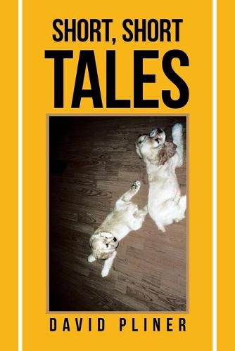 Cover image for Short, Short Tales