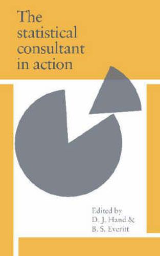 Cover image for The Statistical Consultant in Action