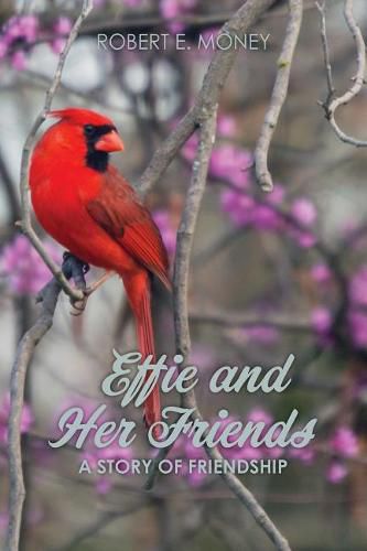 Cover image for Effie and Her Friends: A Story of Friendship