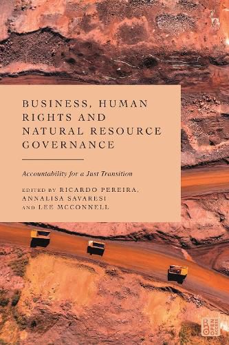 Cover image for Business, Human Rights and Natural Resource Governance