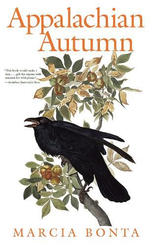 Cover image for Appalachian Autumn